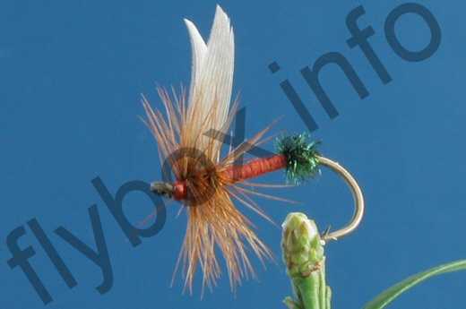 Fish4Flies Red Ant